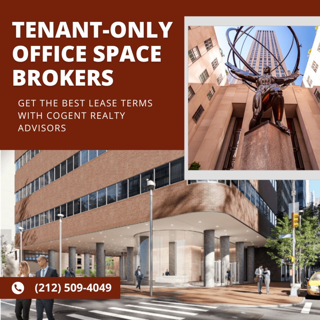 tenant first office space experts