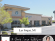 Strip Center Retail Lease Extension